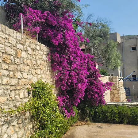 Baka ساراندا
